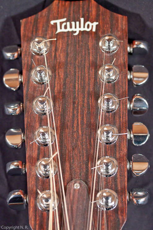 Taylor 455 12-String