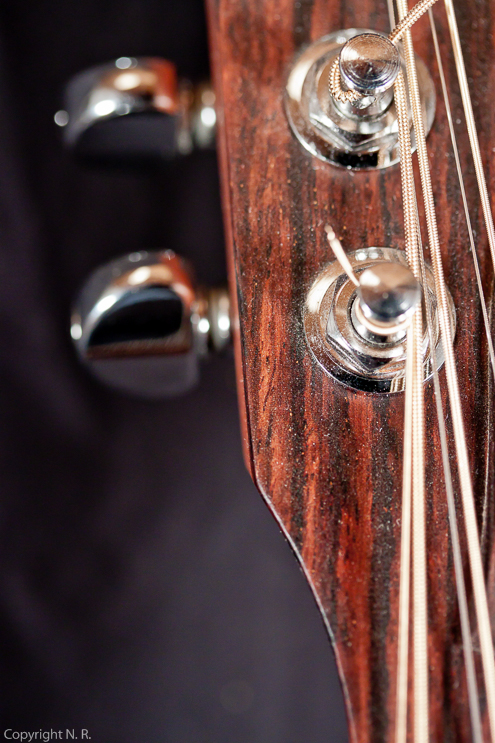 Taylor 455 12-String
