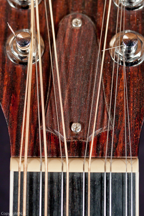 Taylor 455 12-String