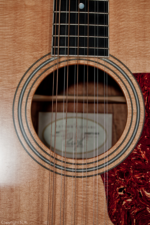 Taylor 455 12-String