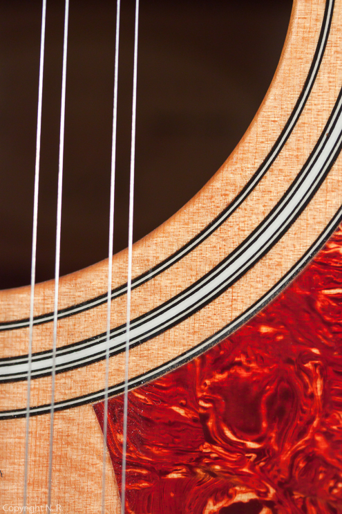 Taylor 455 12-String
