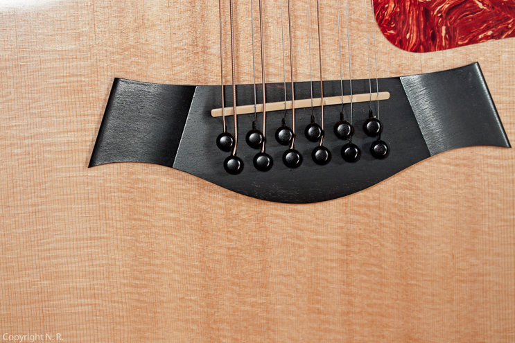 Taylor 455 12-String