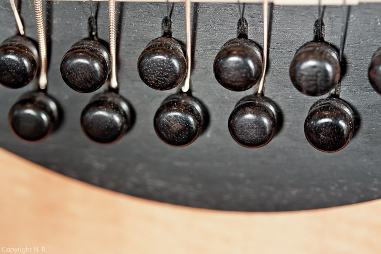 Taylor 455 12-String